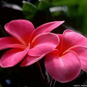 Meet your Posher, Loryn